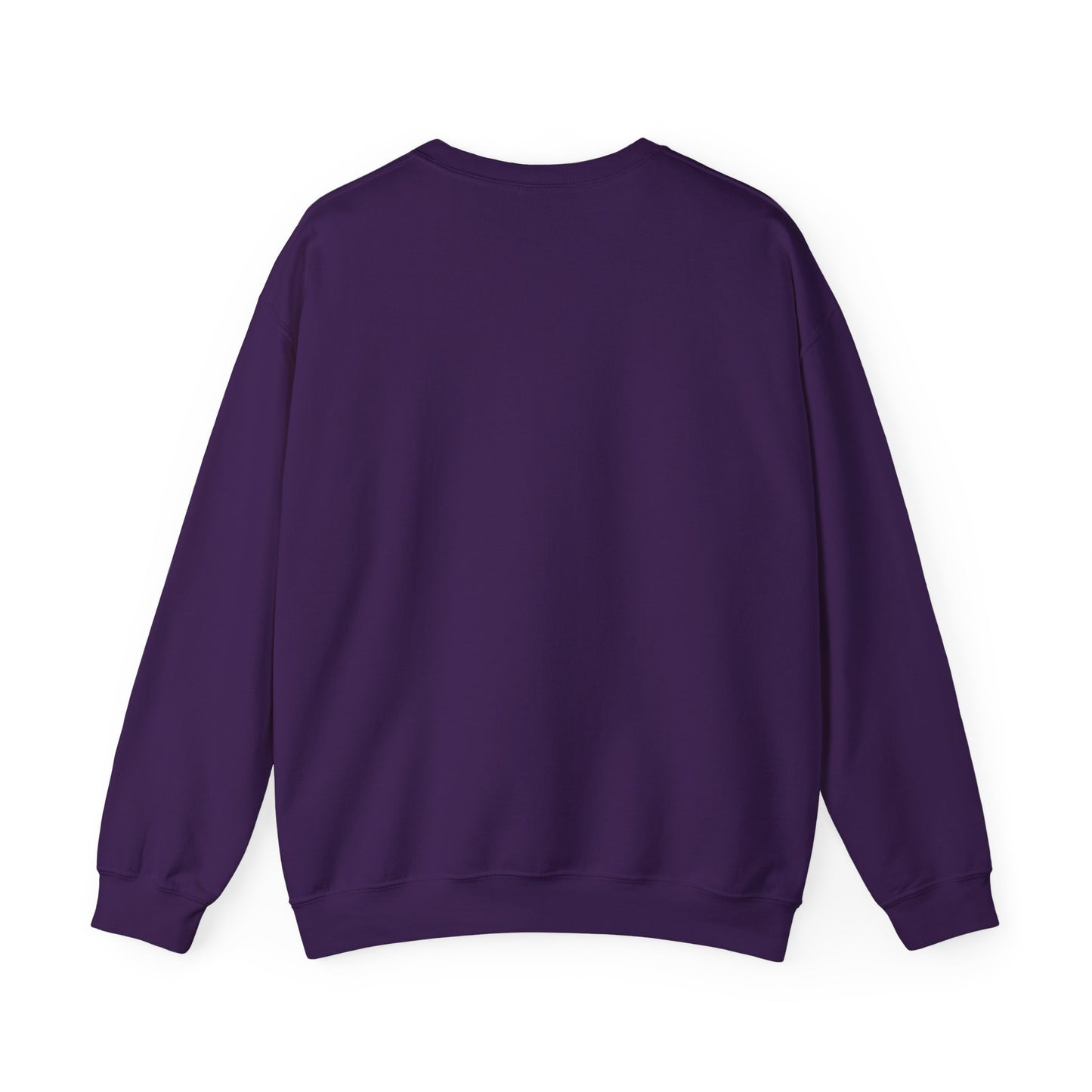 Positivity Crewneck Sweatshirt - It's My Time to Shine
