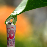 Elegance in the SIP ! Tumbler 20oz with a  Straw.